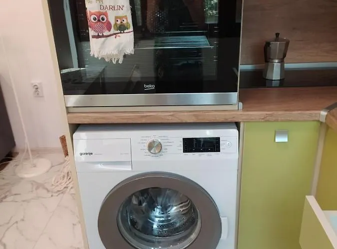 Mojito * 부르가스